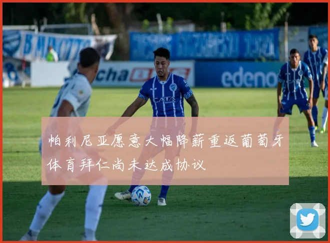 帕利尼亚愿意大幅降薪重返葡萄牙体育拜仁尚未达成协议