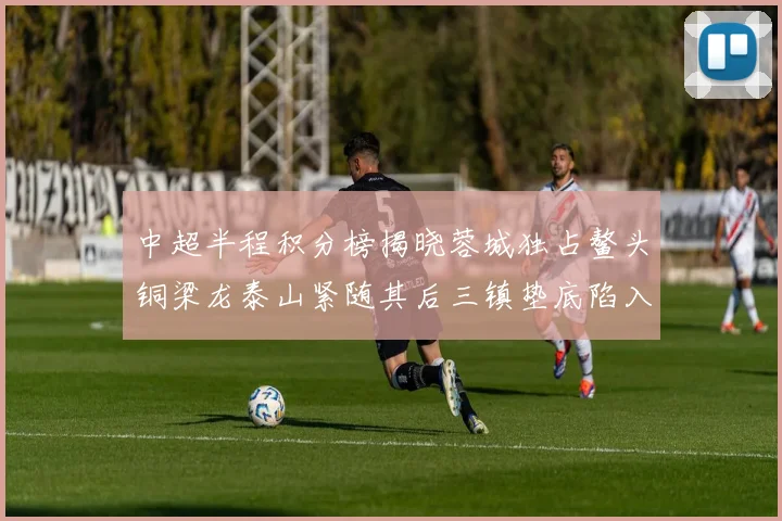 中超半程积分榜揭晓蓉城独占鳌头铜梁龙泰山紧随其后三镇垫底陷入困境
